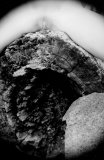 al_rebc_001_0063