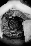 al_rebc_001_0066