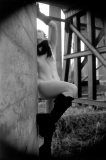 domenic_03_0018
