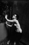 d_masson_001_0002