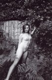 img141_7722