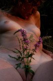 k_church_2256