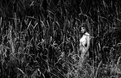 k_church_0015