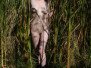 lost_lagoon_03_001