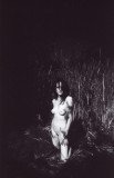 img031_8387