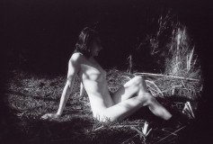 img033_8389