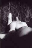 img034_8390