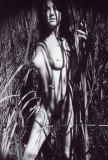 img036_8392