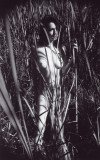 img040_8396