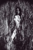 img042_8398
