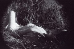 img043_8399