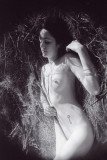 img044_8400