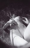 img047_8403