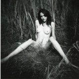 img067_8414