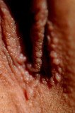 DSC_0249